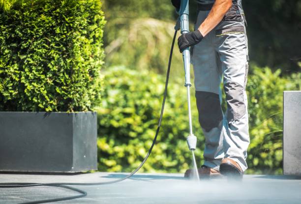 Best Building Exterior Washing  in University Gardens, NY